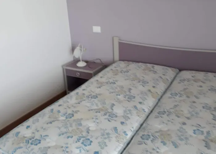 Summertime 세니갈리아